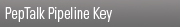 PTK Pipeline Key
