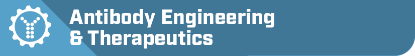 Antibody Engineering Banner