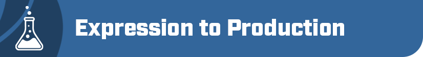 Pipeline 1 Header Image