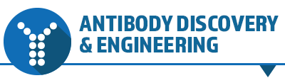Antibody Discovery & Engineering