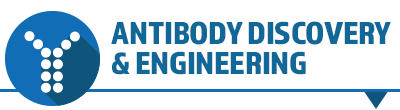 Antibody Discovery and Engineering