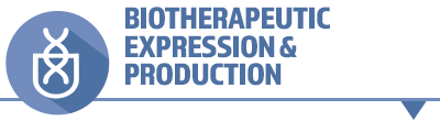 Biotherapeutic Expression & Production