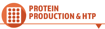 Protein Production & HTP