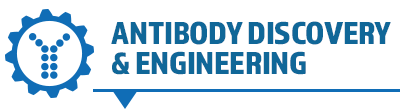 Antibody Discovery & Engineering