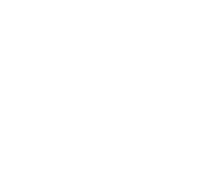 200 Presentations