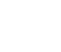 100 Posters
