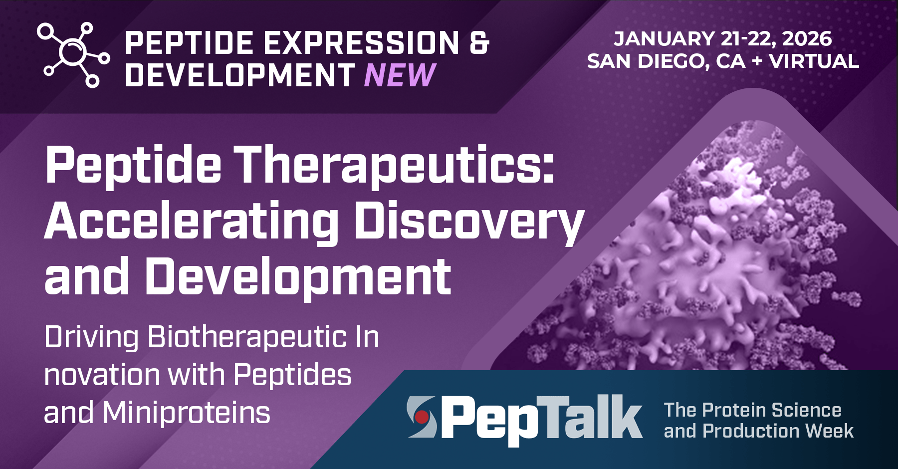 Peptide Therapeutics Accelerating Discovery and Development | PepTalk ...